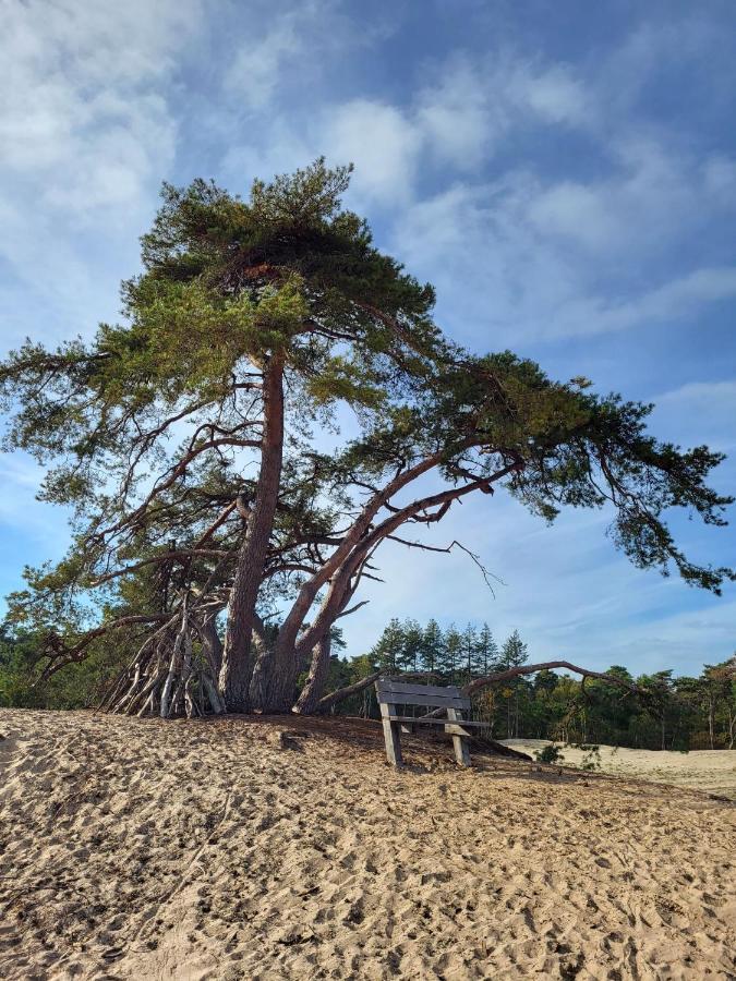Vechtdal Beerze Buren Luaran gambar
